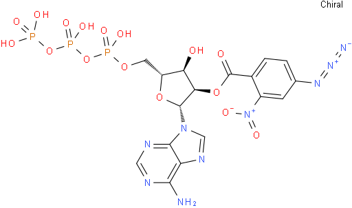 3'(2')-O-(2-Nitro-4-Azidobenzoyl)Adenosine 5'-Triphosphate