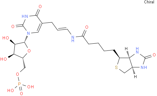5-(N-Biotinyl-3-Aminoallyl)Uridine 5'-Monophosphate