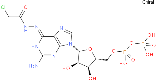 Guanosine diphosphate N-chloroacetylhydrazone