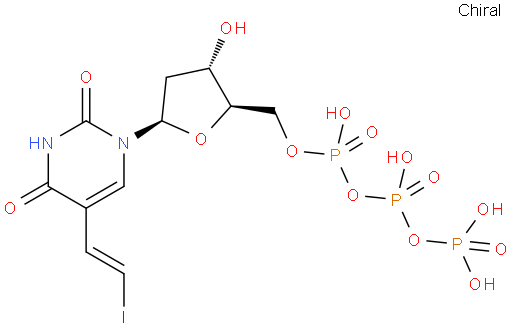 Uridine 5'-(tetrahydrogen triphosphate), 2'-deoxy-5-(2-iodoethenyl)-, (E)- (9CI)