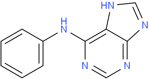 N-苯基-N-(9H-嘌呤-6-基)胺